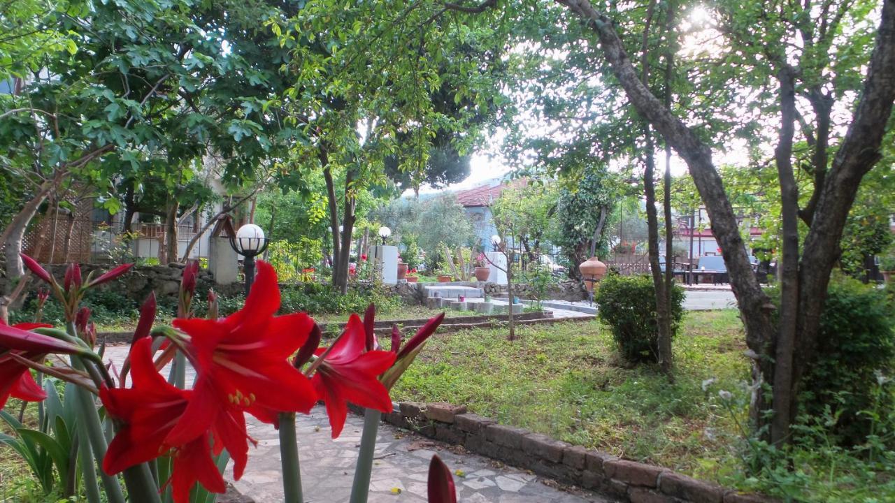 Native Hotel Ovacik  Luaran gambar